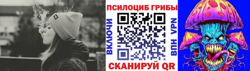 Псилоцибиновые грибы Magic Shrooms  где можно купить   Черноголовка 
